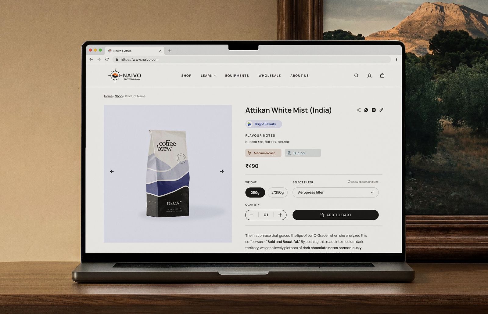 Naivo, Website